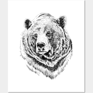 Bear Posters and Art